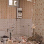 DSC02914
