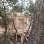 P1000741